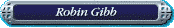 Robin Gibb